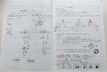 ここまで見てくれる塾は、なかなかないと思います